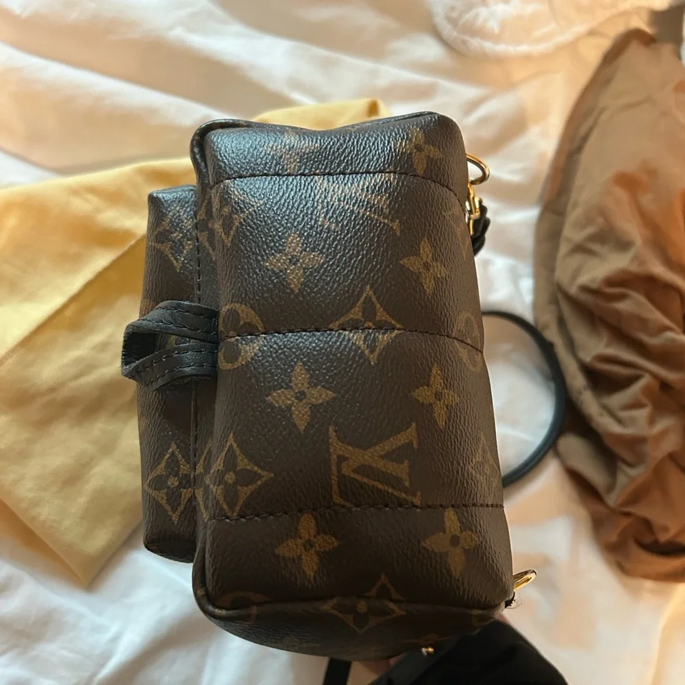 Louis Vuitton Palm Springs Mini - Picture 7 of 8